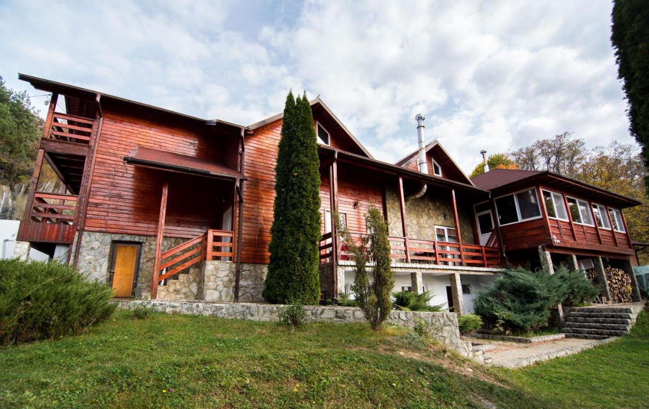 Casa Domneasca Villa บายาเดเฟียร์ ภายนอก รูปภาพ