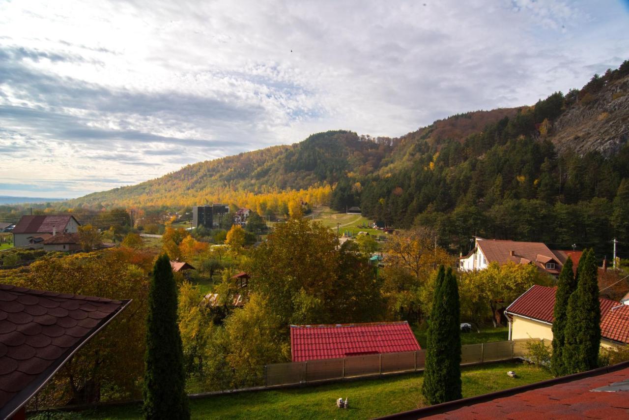 Casa Domneasca Villa บายาเดเฟียร์ ภายนอก รูปภาพ
