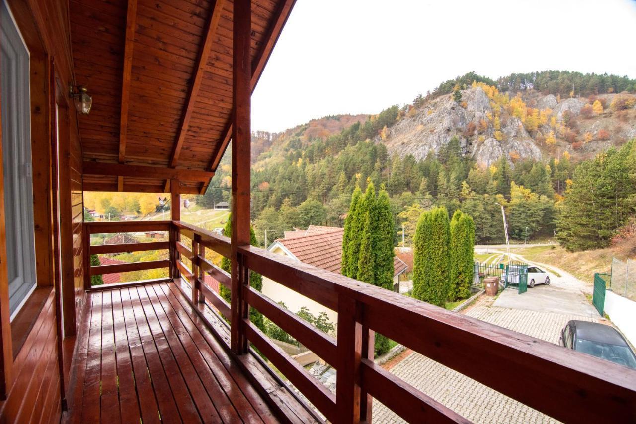 Casa Domneasca Villa บายาเดเฟียร์ ภายนอก รูปภาพ