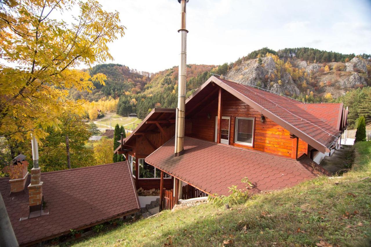 Casa Domneasca Villa บายาเดเฟียร์ ภายนอก รูปภาพ