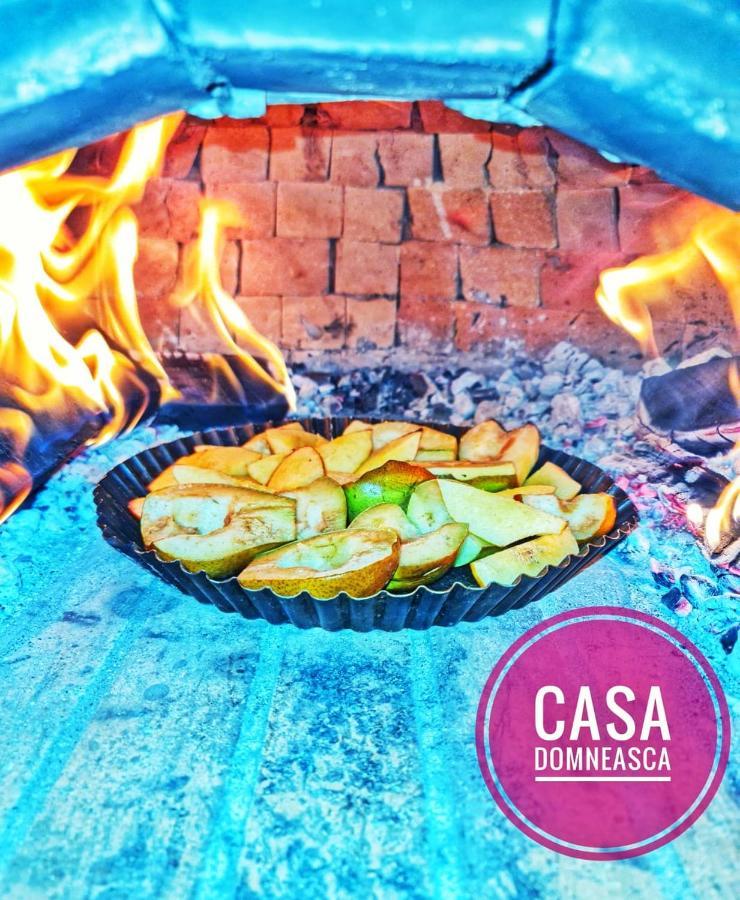 Casa Domneasca Villa บายาเดเฟียร์ ภายนอก รูปภาพ