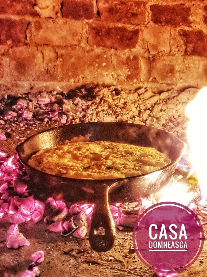 Casa Domneasca Villa บายาเดเฟียร์ ภายนอก รูปภาพ