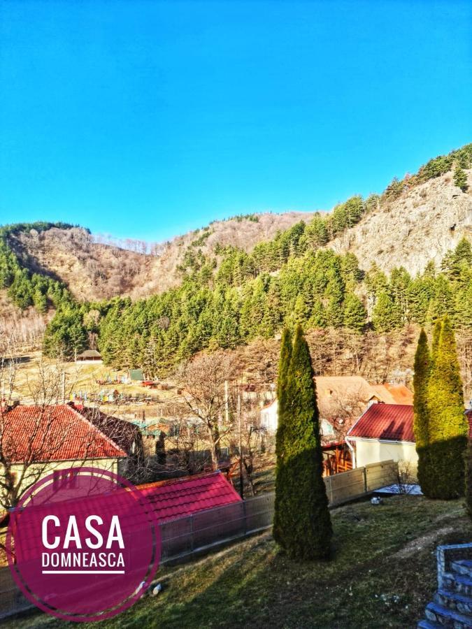 Casa Domneasca Villa บายาเดเฟียร์ ภายนอก รูปภาพ