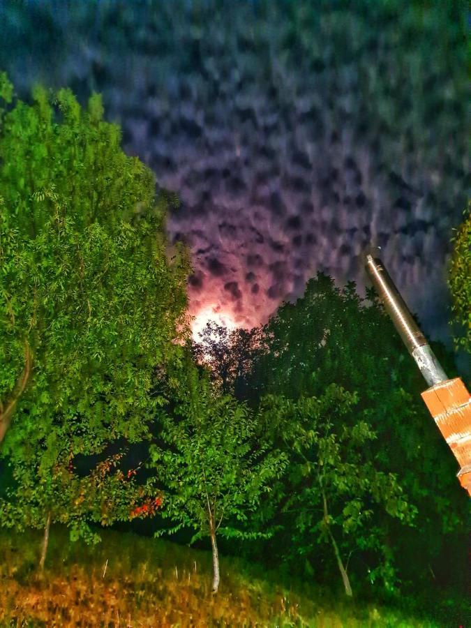 Casa Domneasca Villa บายาเดเฟียร์ ภายนอก รูปภาพ