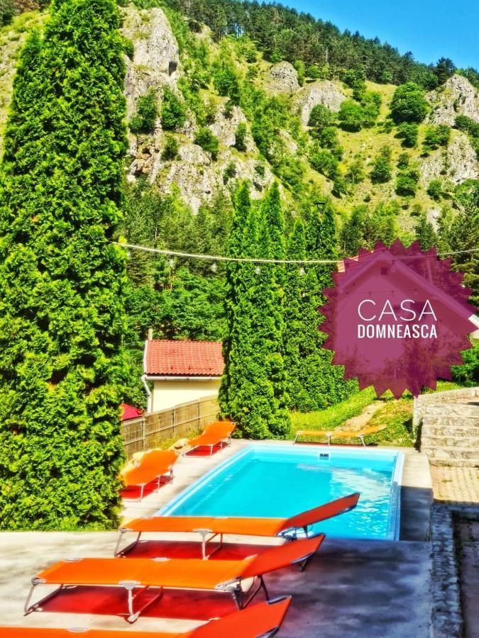 Casa Domneasca Villa บายาเดเฟียร์ ภายนอก รูปภาพ