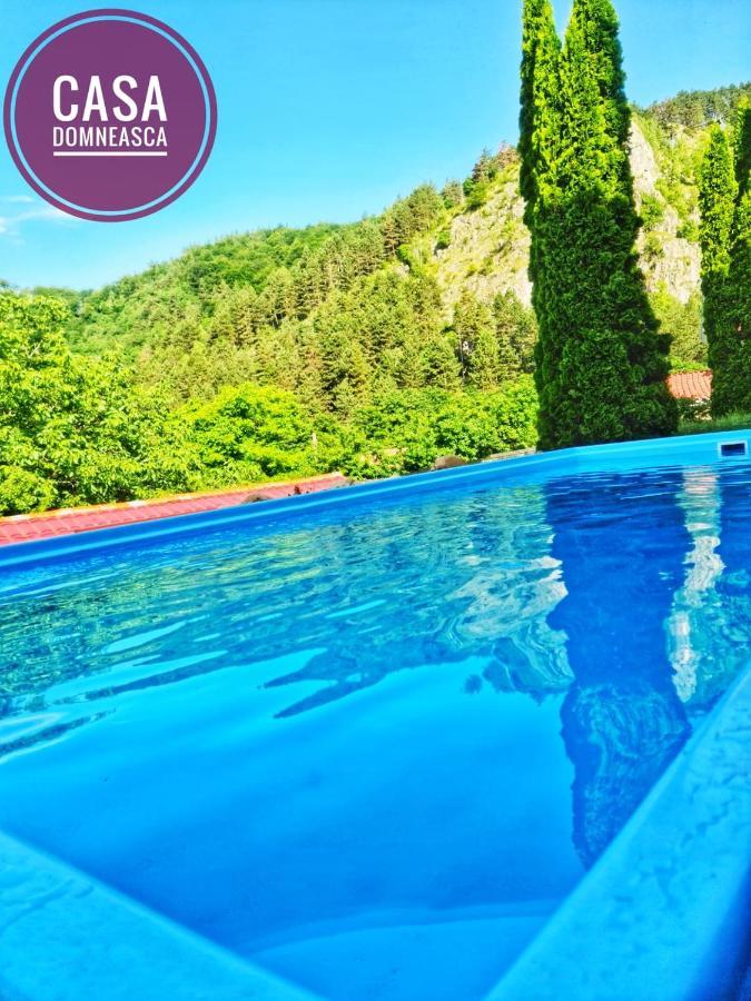 Casa Domneasca Villa บายาเดเฟียร์ ภายนอก รูปภาพ