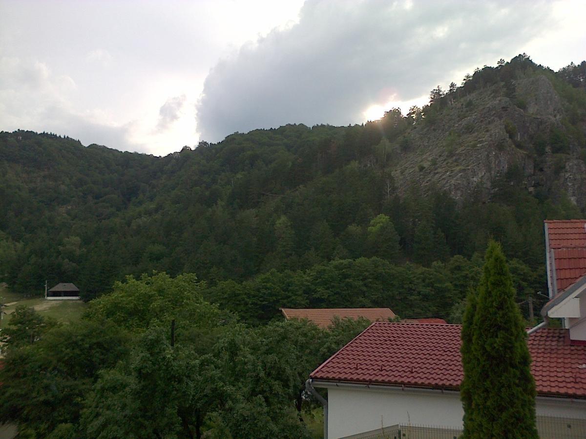 Casa Domneasca Villa บายาเดเฟียร์ ภายนอก รูปภาพ